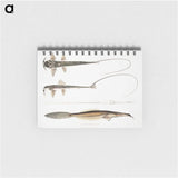 2-63_Indian-Zoology_memo