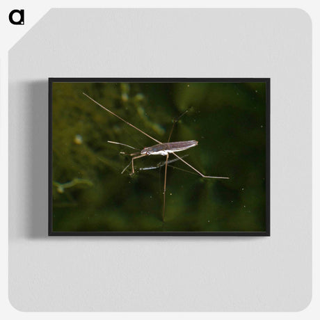 2-63_Insects-Unlocked-Project_blk-crop