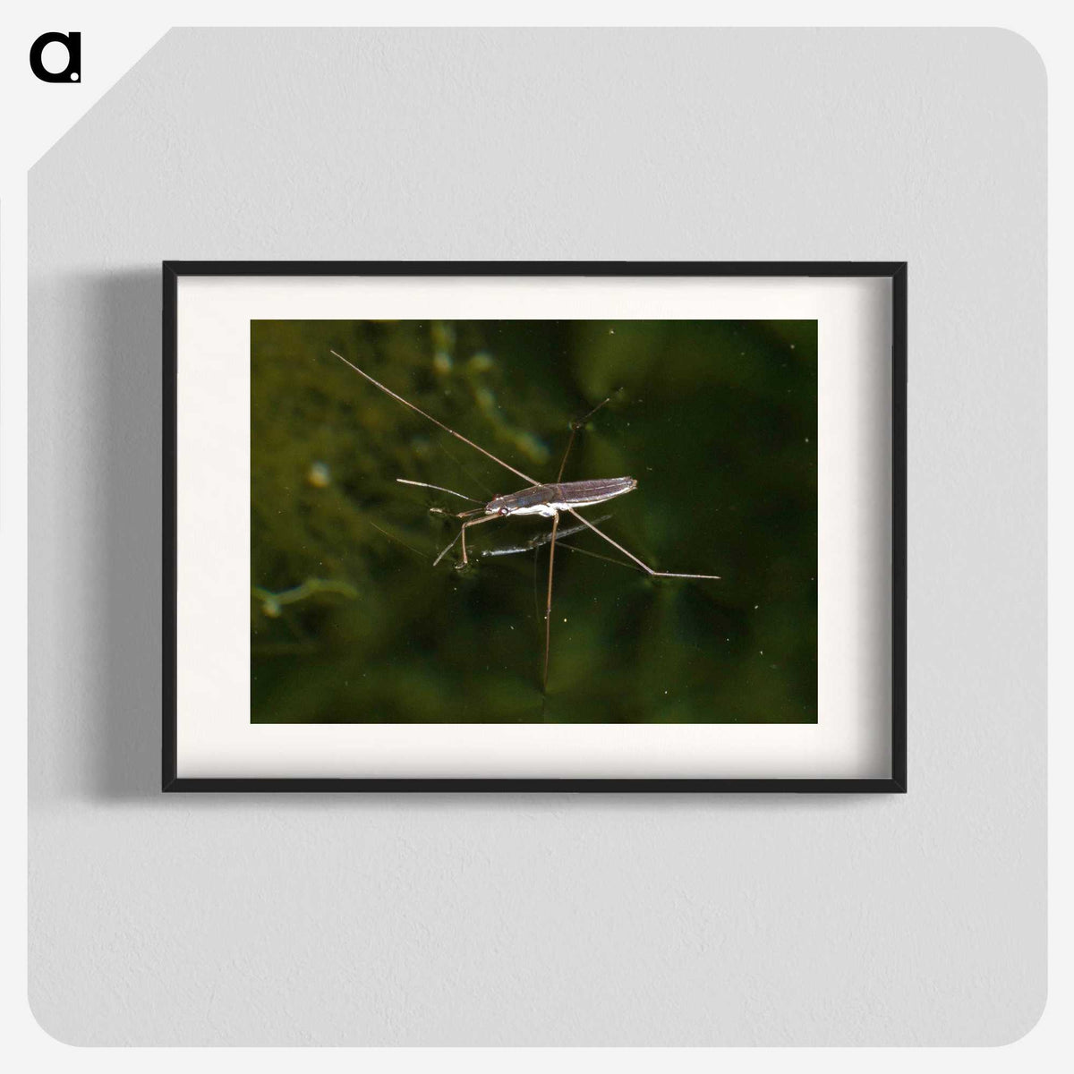 2-63_Insects-Unlocked-Project_blk