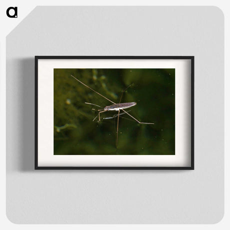 2-63_Insects-Unlocked-Project_blk