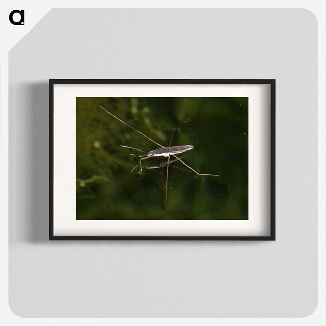 2-63_Insects-Unlocked-Project_blk