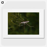 2-63_Insects-Unlocked-Project_picture