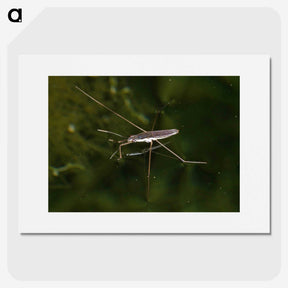 2-63_Insects-Unlocked-Project_picture