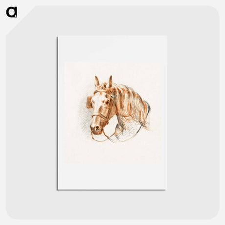 アートポストカード-Head of a horse with blinkers - ジャン ベルナール Postcard.