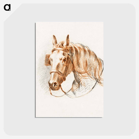 アートポストカード-Head of a horse with blinkers - ジャン ベルナール Postcard.