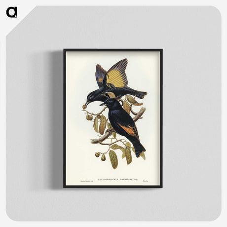 2-63_John-Gould_blk-crop