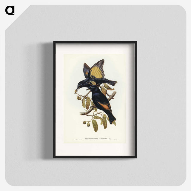 2-63_John-Gould_blk
