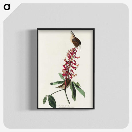 2-63_John-James-Audubon_blk-crop