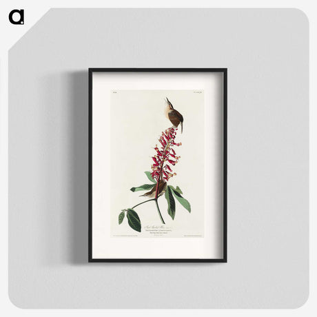 2-63_John-James-Audubon_blk