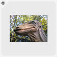 2-63_John-Margolies_postcard