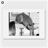 2-63_Leslie-Adkin_picture