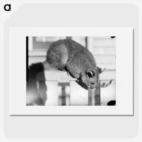 2-63_Leslie-Adkin_picture