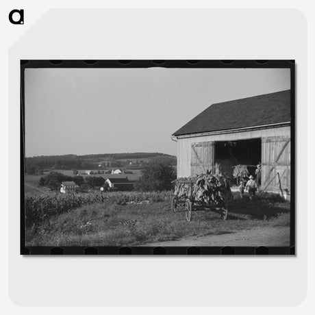2-63_Marion-Post-Wolcott_picture-crop