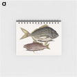 2-63_Mark-Catesby_memo