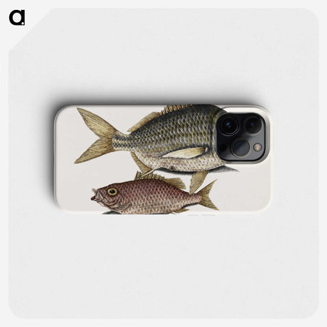 2-63_Mark-Catesby_phone