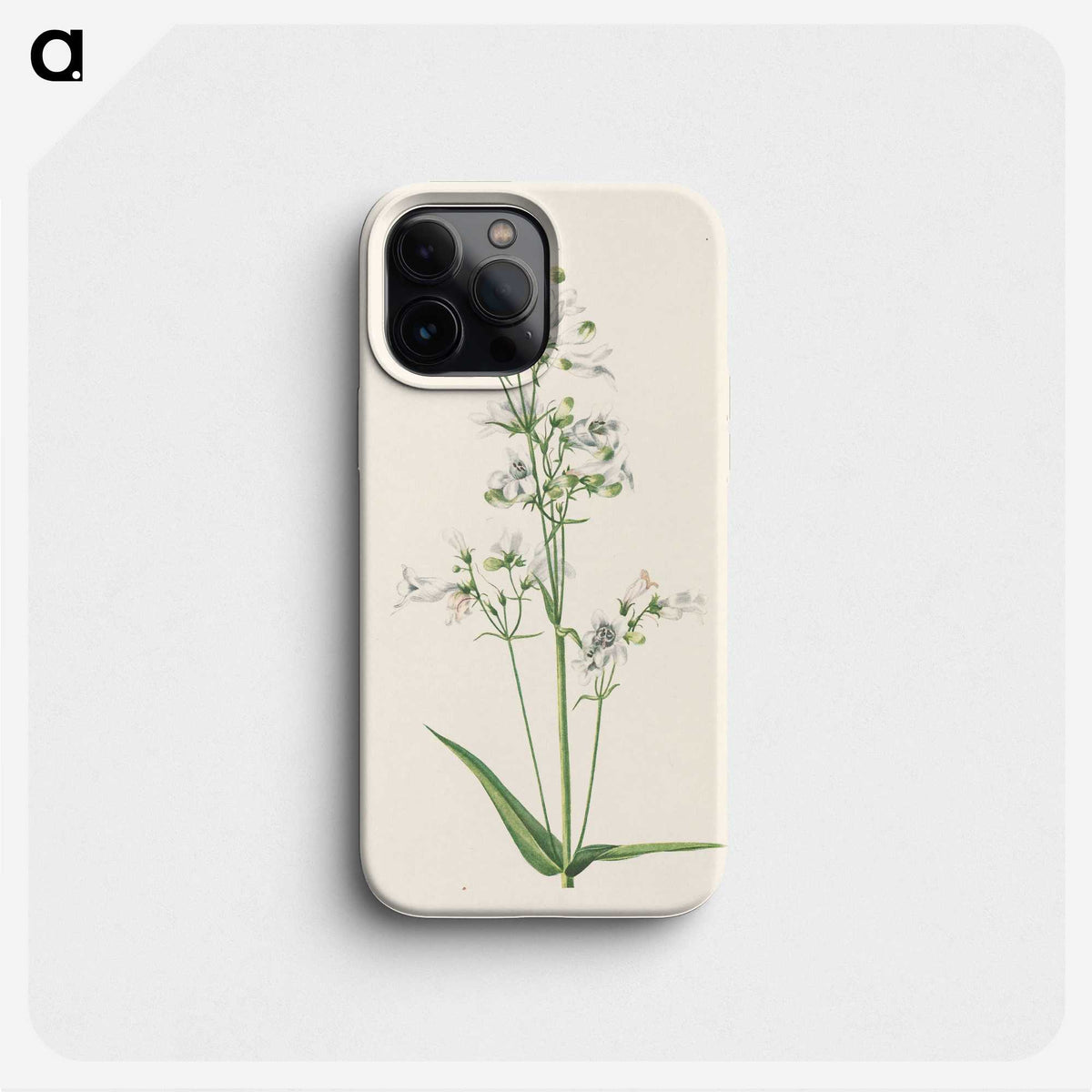 2-63_Mary-Vaux-Walcott_phone