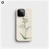 2-63_Mary-Vaux-Walcott_phone