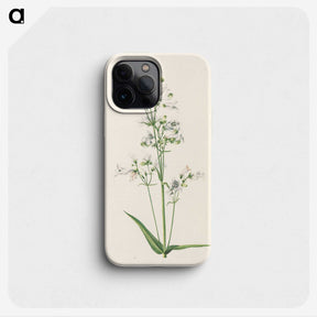 2-63_Mary-Vaux-Walcott_phone