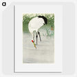 2-63_Ohara-Koson_picture