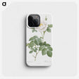 2-63_Pierre-Joseph-Redoute_phone