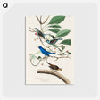 アートポストカード-Indigo Bird from Birds of America
 - アメリカの鳥たち Postcard.