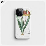 2-63_The-Lilies_phone