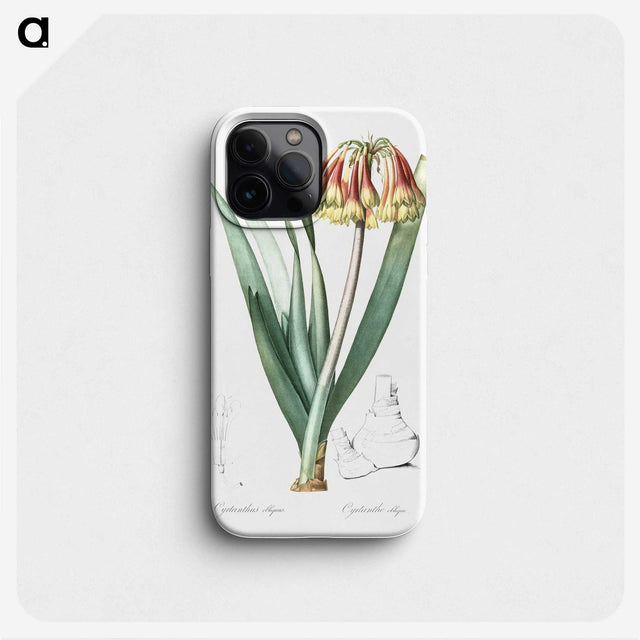 2-63_The-Lilies_phone