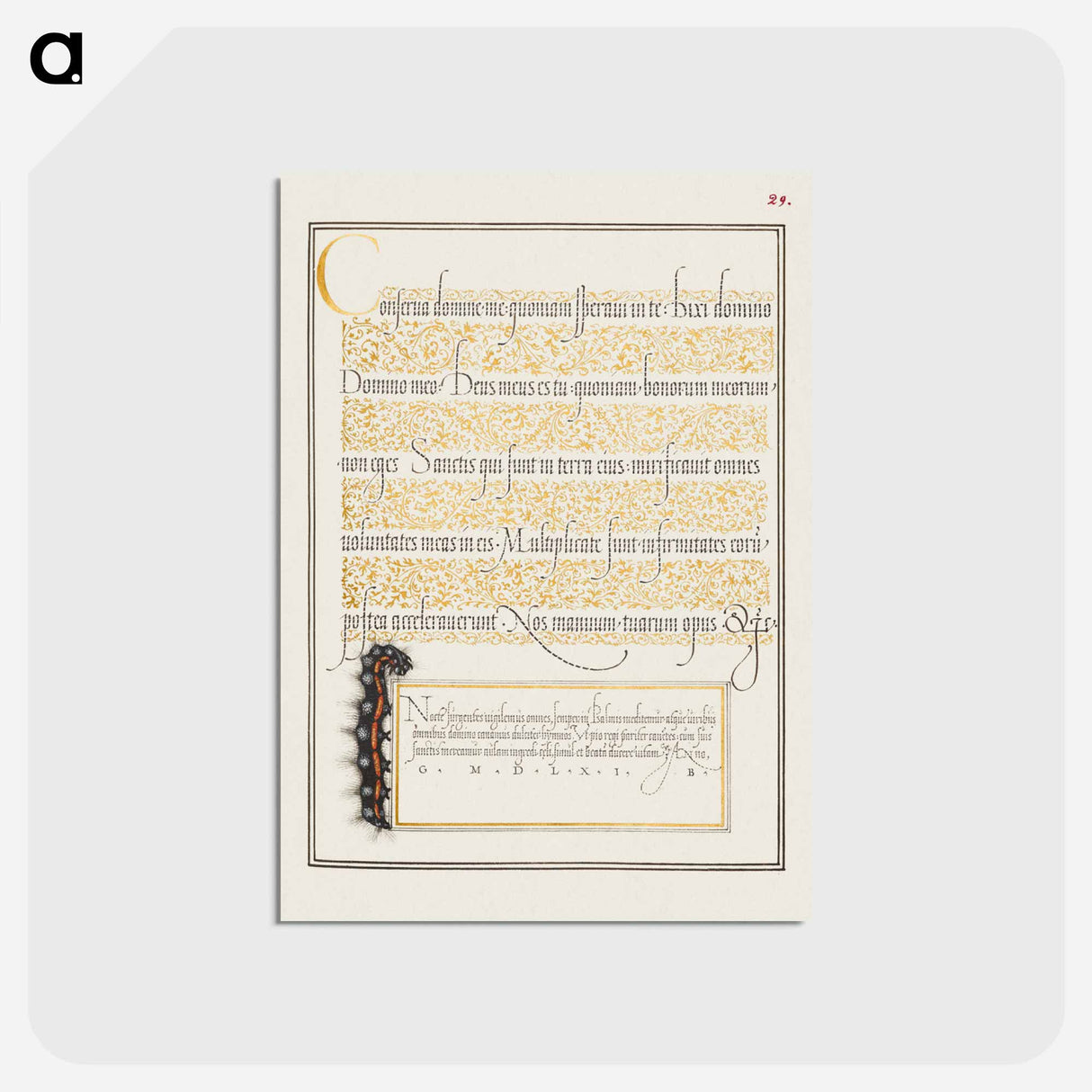 アートポストカード-Dagger from Mira Calligraphiae Monumenta
 - 書道のお手本 Postcard.