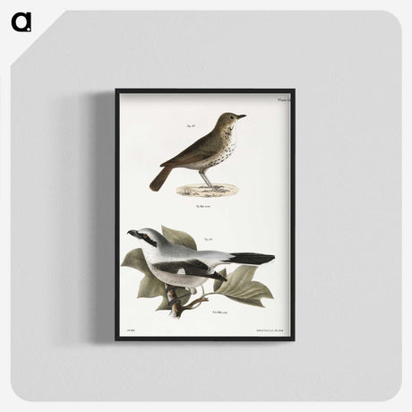 2-63_Zoology-of-New-York_blk-crop