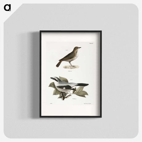 2-63_Zoology-of-New-York_blk