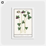 2-64_Anselmus-Boetius-de-Boodt_hagaki