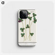 2-64_Anselmus-Boetius-de-Boodt_phone
