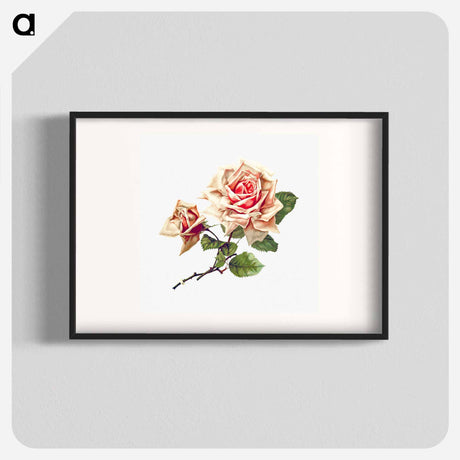 アートポスター-Rose from Songs of Love and Joy
 - 大英図書館 Poster.