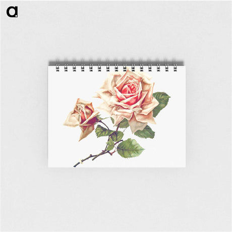 アートメモ帳-Rose from Songs of Love and Joy
 - 大英図書館 Memo.