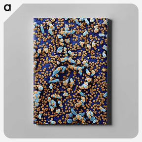 2-64_COVID-19_canvas