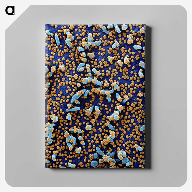 2-64_COVID-19_canvas