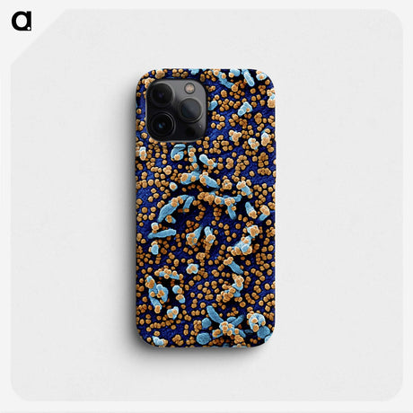 2-64_COVID-19_phone