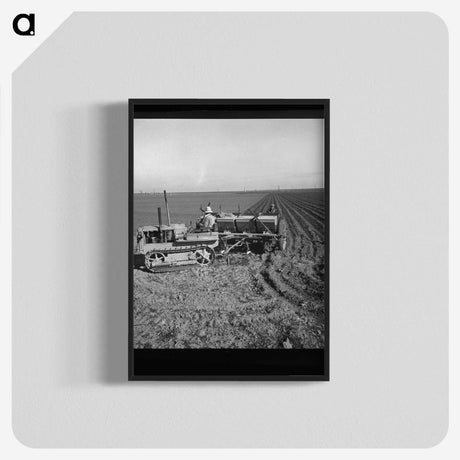 2-64_Dorothea-Lange_blk-crop