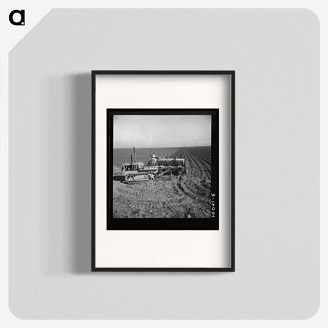 2-64_Dorothea-Lange_blk