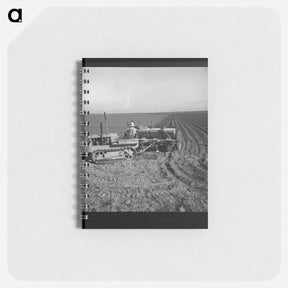 アートメモ帳-Kern County, California - ドロテア ラング Memo.