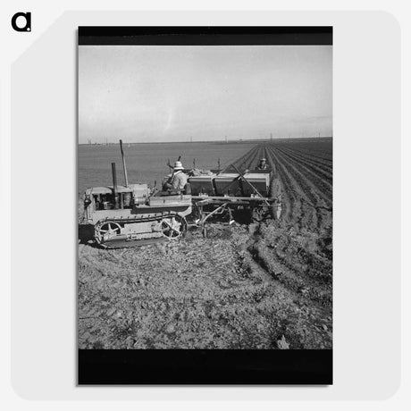 2-64_Dorothea-Lange_picture-crop