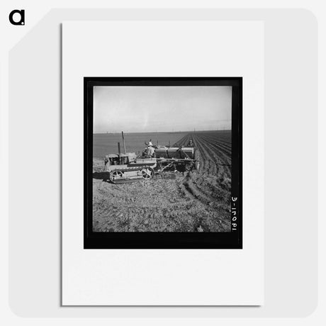 2-64_Dorothea-Lange_picture