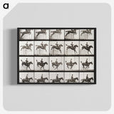 2-64_Eadweard-Muybridge_blk-crop