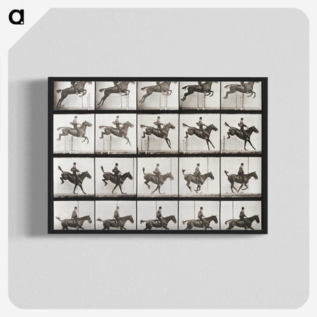 2-64_Eadweard-Muybridge_blk-crop
