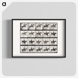 2-64_Eadweard-Muybridge_blk