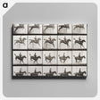 2-64_Eadweard-Muybridge_canvas