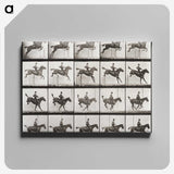 2-64_Eadweard-Muybridge_canvas