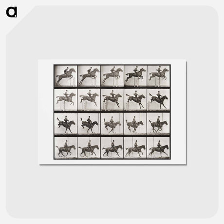 アートポストカード-Animal Locomotion Plate 637
 - エドワード マイブリッジ Postcard.