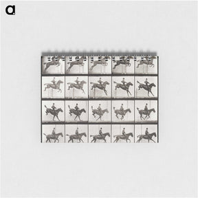 2-64_Eadweard-Muybridge_memo