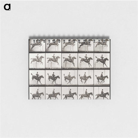 2-64_Eadweard-Muybridge_memo